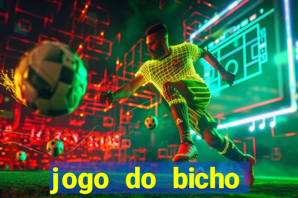 jogo do bicho crash bingo